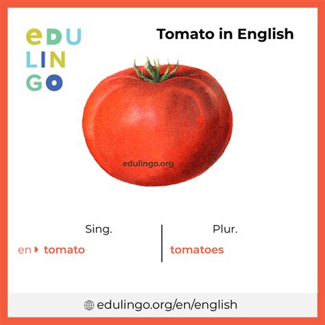 british pronunciation of tomato.